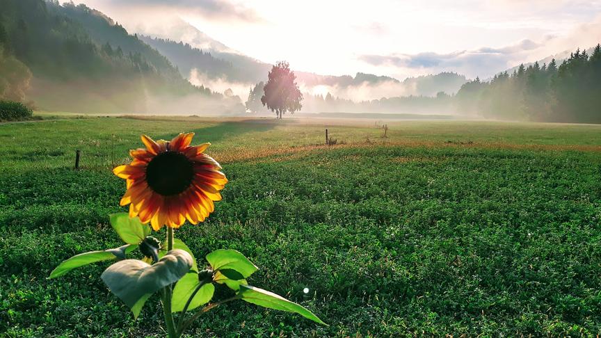 © Bernd Huber Mauthner Felder. Nach dem Regen kommt die Sonne wieder durch. Blickrichtung nach Westen von Mauthen aus. (Bernd Huber)