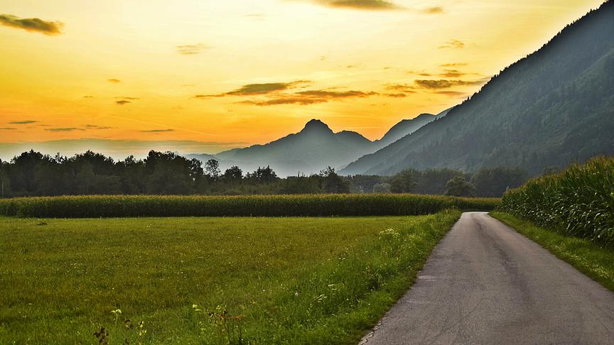 © Ingrid Grossauer Herrliche Abendstimmung mitten durch die Selzthaler Maisfelder. (Ingrid Grossauer)