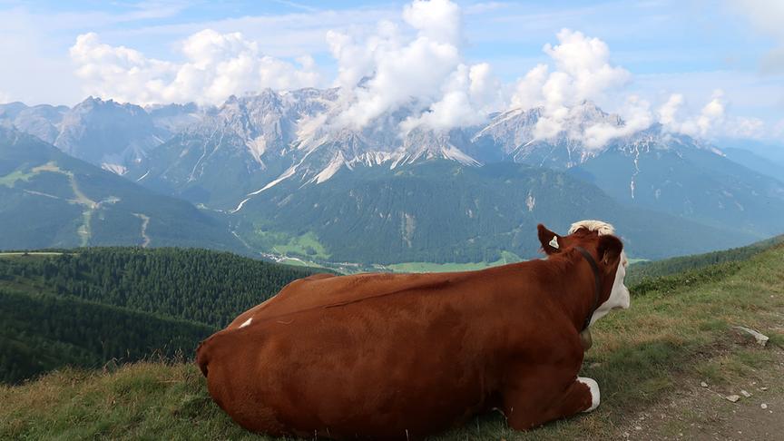 © Caro Guttner Was für ein Ausblick auf die Sextner Dolomiten. (Caro Guttner)