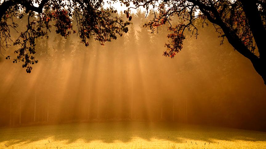 © Maria Fank Morgenstimmung Sonnenstrahlen "Es herbstelt bereits". (Maria Fank)