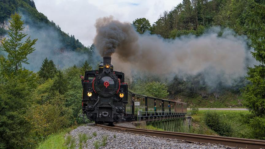 © Manfred Gasser Eine Bahnfahrt mit dem "Wälderbähnle" ist immer lustig. (Manfred Gasser)