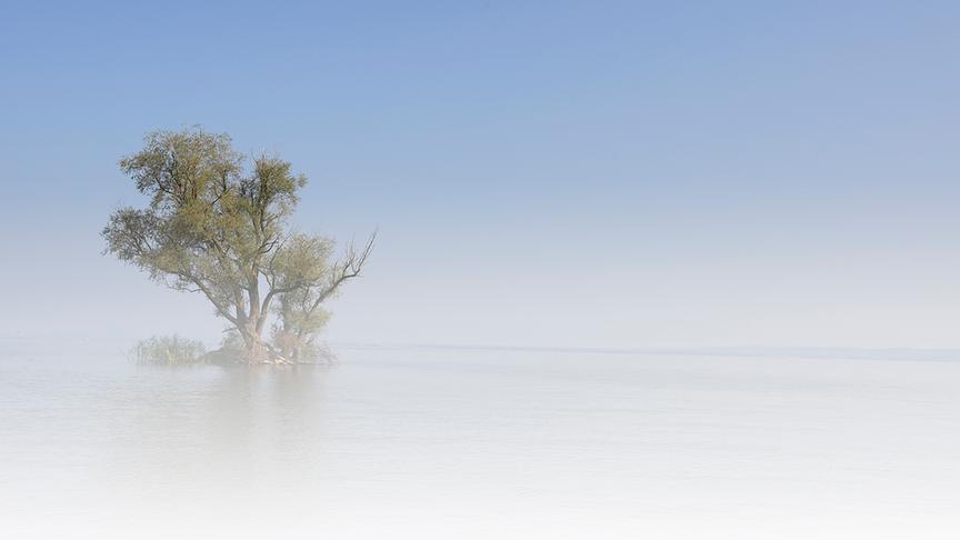 © Manfred Gasser Langsam wird es herbstlich. Bodennebel auf dem Bodensee. (Manfred Gasser)