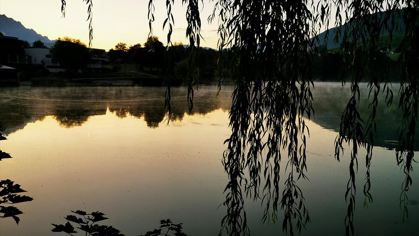 © Georg Ackerer Morgendlicher Flair am Ritzensee. (Georg Ackerer)