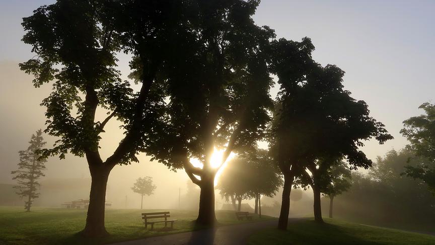 © Caro Guttner Herbstliche Stimmung am Morgen in Oberdrauburg auf der Reitern. (Caro Guttner)