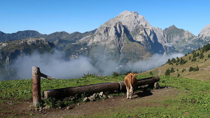 © Caro Guttner Morgenstimmung auf der Spielbodenalm (1831m) mit Blick auf den Cellon, die Hohe Warte und den Rauchkofel. (Caro Guttner)