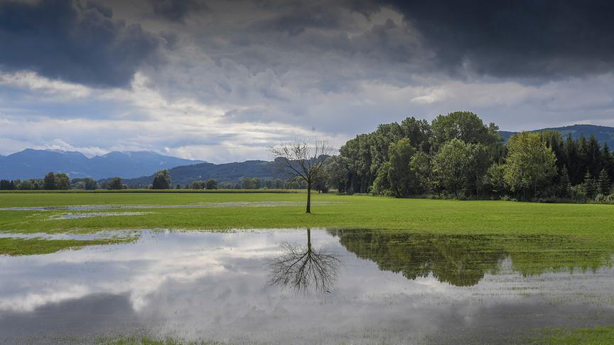© Manfred Gasser Nach dem starken Regen. (Manfred Gasser)