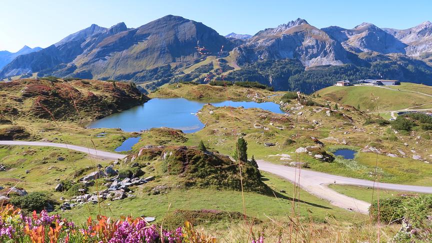 © Rudolf Kössl Herrliche Flora am Obertauern in traumhafter Bergwelt. (Rudolf Kössl)