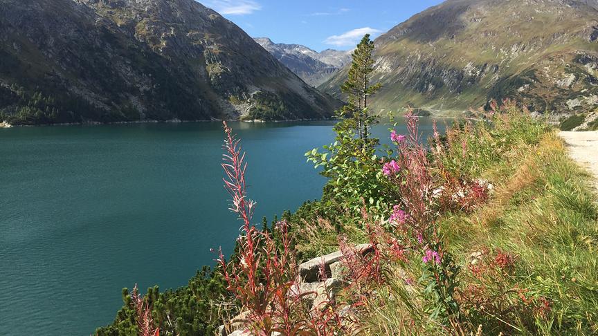 © Michael Heinemann Das Foto zeigt den Blick auf dem Wanderweg von der Staumauer kommend in Richtung Osnabrücker Hütte. (Michael Heinemann)