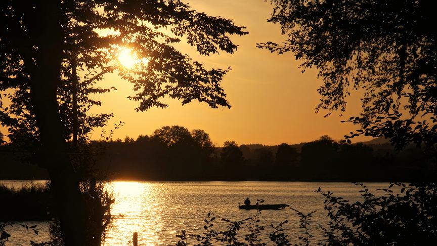 © Emma Sommeregger Heute durfte ich diesen stimmungsvollen Sonnenuntergang beim "Fenninger Spitz" am Wallersee erleben. (Emma Sommeregger)