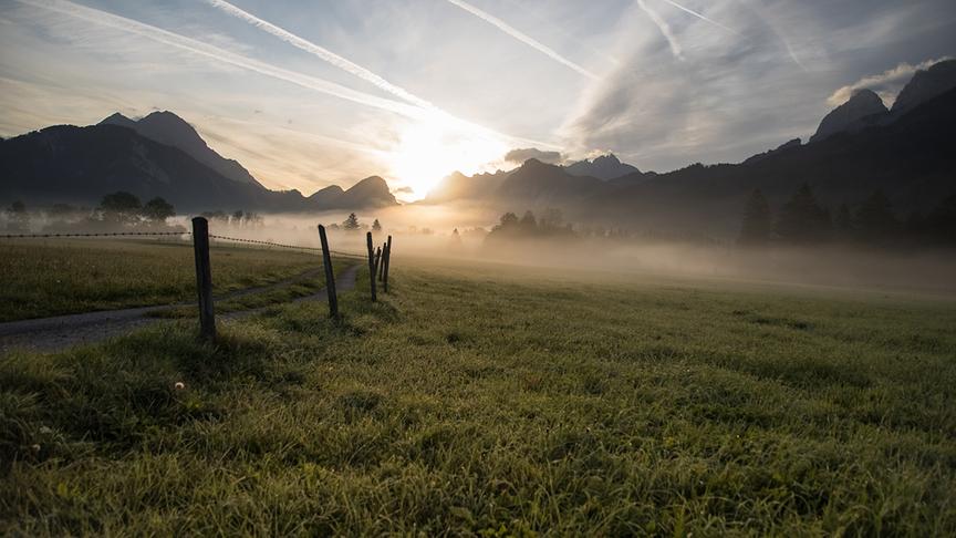 © Gerlinde Ainhirn Es herbstelt ganz schön im Gesäuse...die Natur erwacht...die Wiesen sind taufrisch und der Nebel steigt auf und auch ein reger Flugverkehr. (Gerlinde Ainhirn)