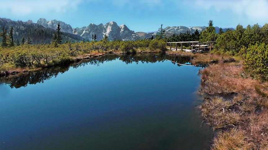 © Peter Grill Der Löckersee im Löckermoor, OÖ. (Peter Grill)