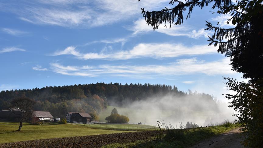 © Andreas Parzer Umgebung Waldhausen im Strudengau. (Andreas Parzer)