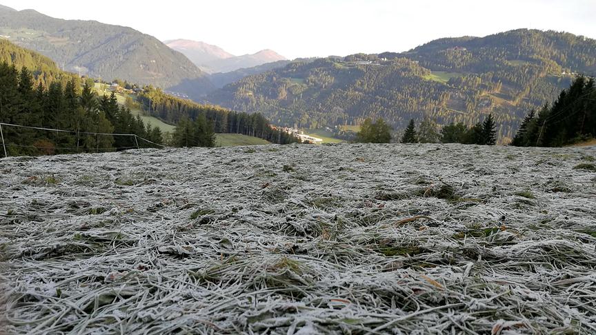 © Peter Haselmann Erster Reif im Murtal. Probst, im Hintergrund Murau. (Peter Haselmann)