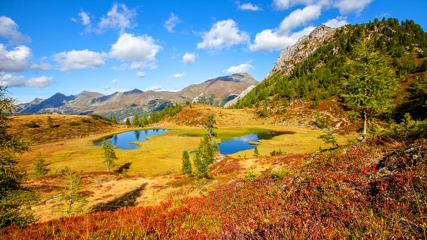 © Christa Kramer Der Wildalmsee im schönsten Herbstzauber. (Christa Kramer)