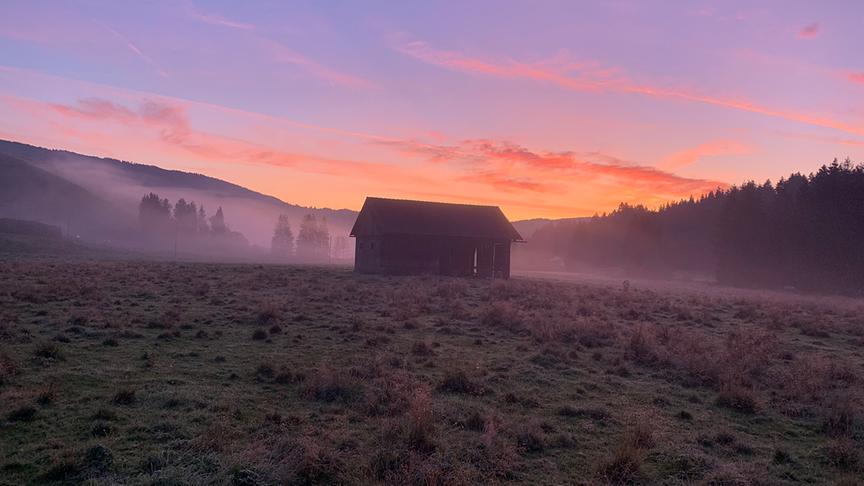 © Martina Flath Morgendliche Herbststimmung in Fuchsgruben bei Steuerberg. (Martina Flath)