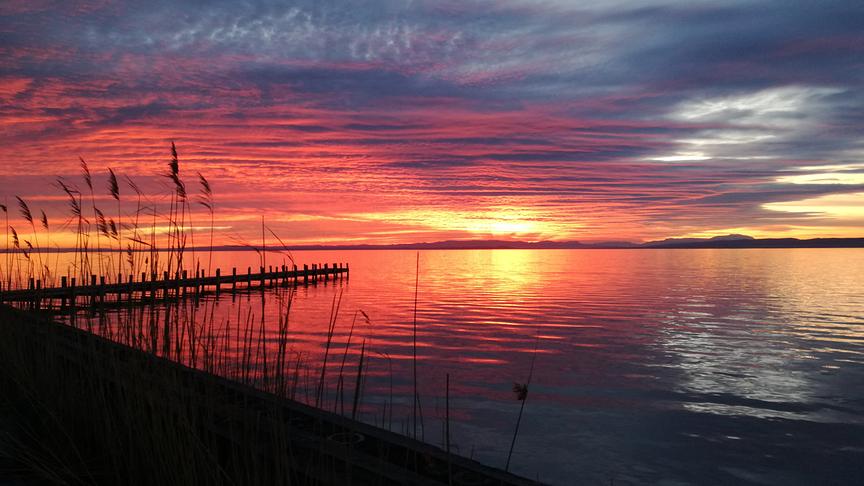 © Elisabeth Szenes Atemberaubende Abendröte am Neusiedler See. (Elisabeth Szenes)