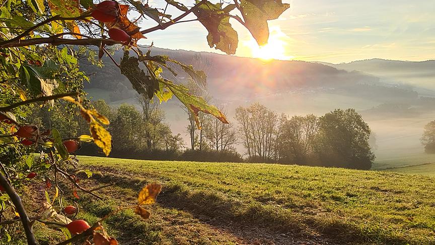 © Helga Grimps Der Herbst in seiner Pracht. (Helga Grimps)