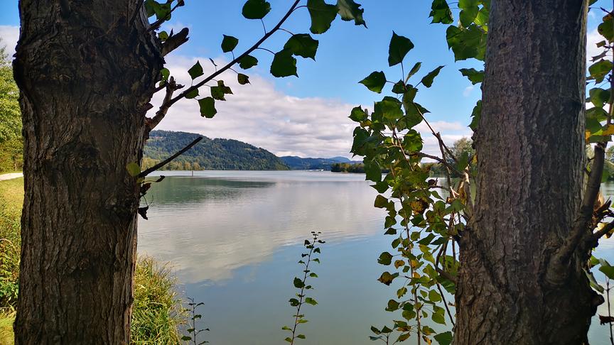 © Manuel Gosch Wunderbarer Blick vom Drau Radweg aus. (Manuel Gosch)
