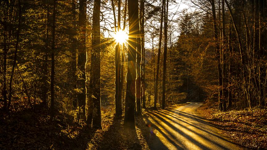 © Manfred Gasser Herbst in Bizau/Bregenzerwald. (Manfred Gasser)