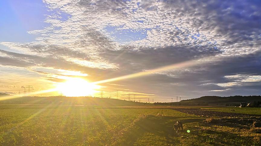 © Janine Feichter Sonnenuntergang in Enzersfeld im Weinviertel. (Janine Feichter)