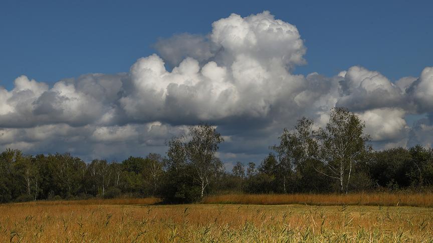 © Manfred Gasser Wolkenstimmung am Rohrspitz - Naturschutzgebiet Rheindelta. (Manfred Gasser)