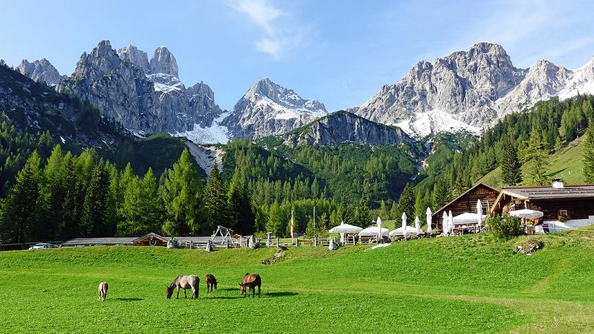 © Annelie Möser Herrlicher Bergblick von den Hofalmen bei Filzmoos. (Annelie Möser)
