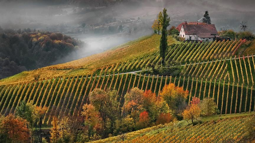 © Peter Grill Herbst in der Südsteirischen Weinstraße. (Peter Grill)