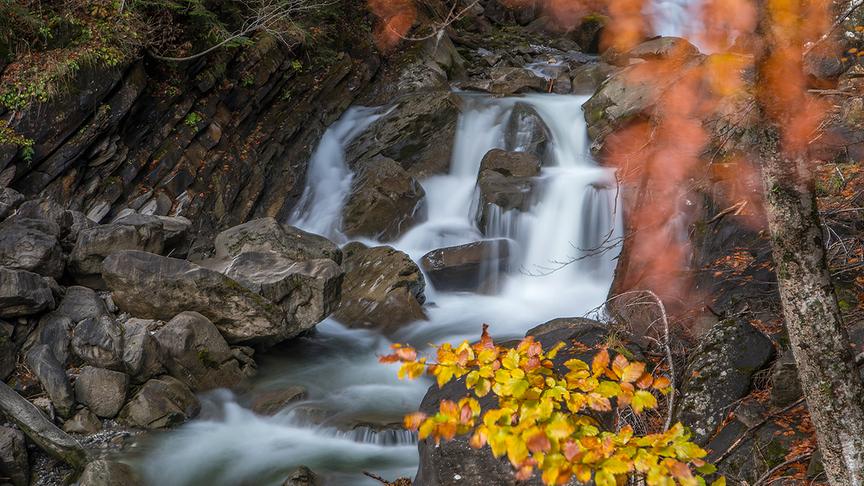 © Manfred Gasser Am kleinen Wasserfall im Herbst. (Manfred Gasser)