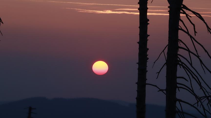 © Plattner Peter Teilweise verdeckte Sonne durch Nebelschwaden. (Plattner Peter)