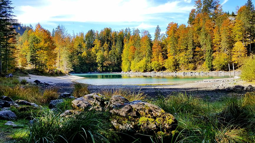 © Silvia Dorn Der kleine Ödsee in OÖ. (Silvia Dorn)