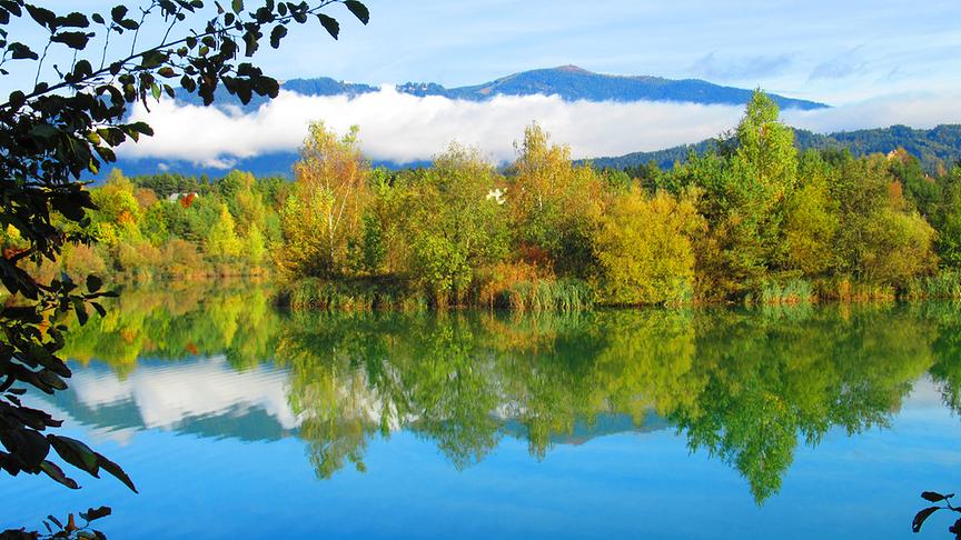© Georg Wastl Herbst am Silbersee bei Villach. (Georg Wastl)