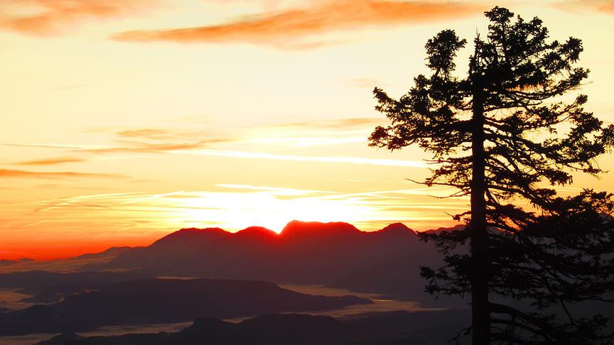 © Georg Wastl Im Klagenfurter Becken Nebel, am Dobratsch ein traumhafter Sonnenaufgang. (Georg Wastl)