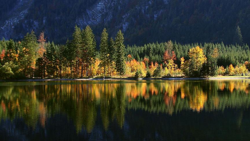 © Reinhard Feuchtner Ein Farbenmeer zaubert der Herbst an die Ufer des Offensee. (Reinhard Feuchtner)