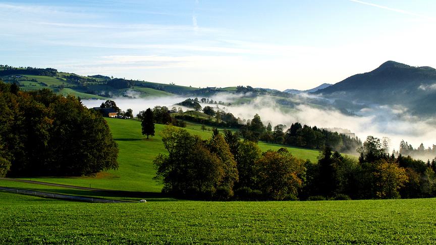 © Franz Fuchsluger Ein schöner Herbstmorgen. (Franz Fuchsluger)