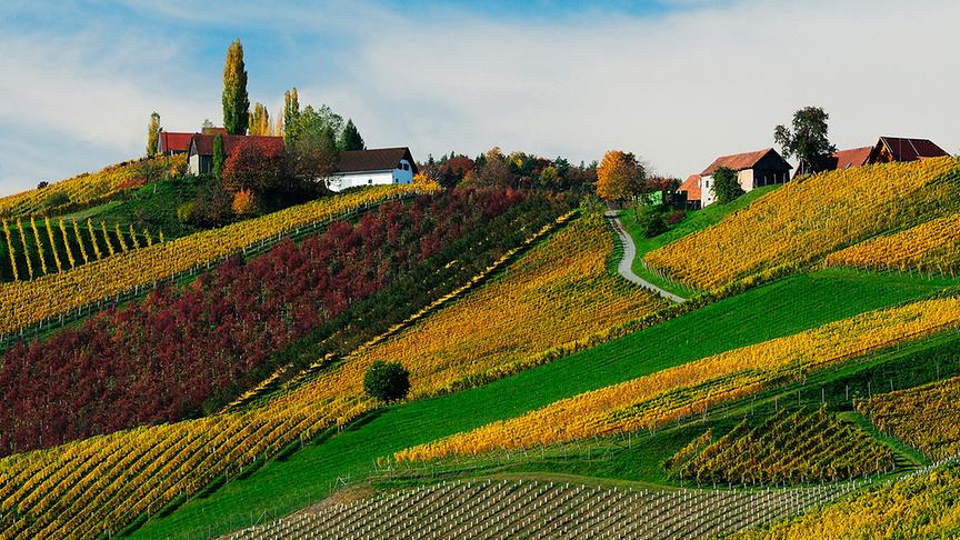 © Dietmar Pirngruber Der Gamlitzberg in den bunten Herbstfarben. (Dietmar Pirngruber)