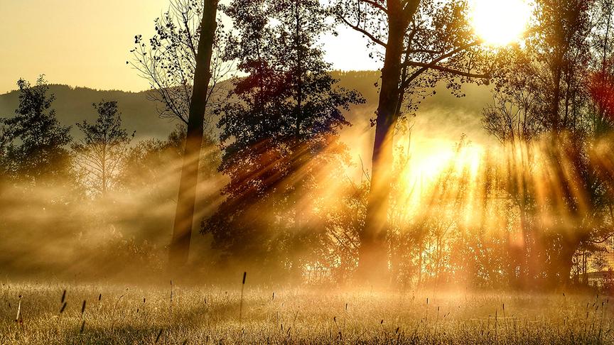© Stemeseder Doris Die Morgensonne verdrängt den Nebel am Wallersee. (Stemeseder Doris)