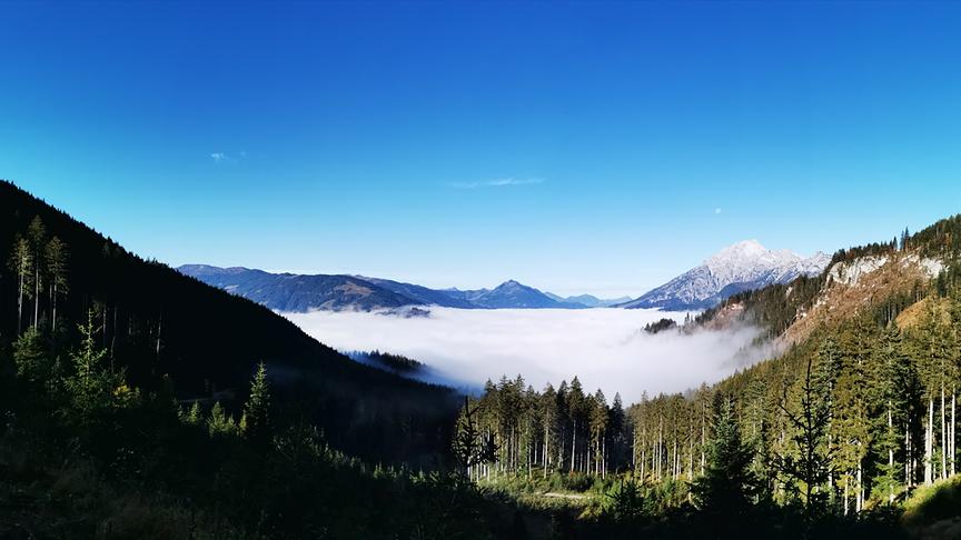 © Georg Ackerer Panorama über dem Nebelmeer (Leoganger Steinberge). (Georg Ackerer)