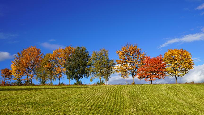 © Maria Fank Ein wunderschöner Herbsttag in Wenigzell. (Maria Fank)