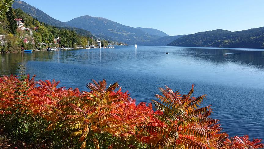 © Annelie Möser Wunderbare Herbstfarben am Millstätter See. (Annelie Möser)