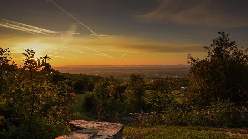 © Nusret Pargan Sonnenaufgang auf der Weinbergstrasse Gumpoldskirchen/ NÖ. (Nusret Pargan)
