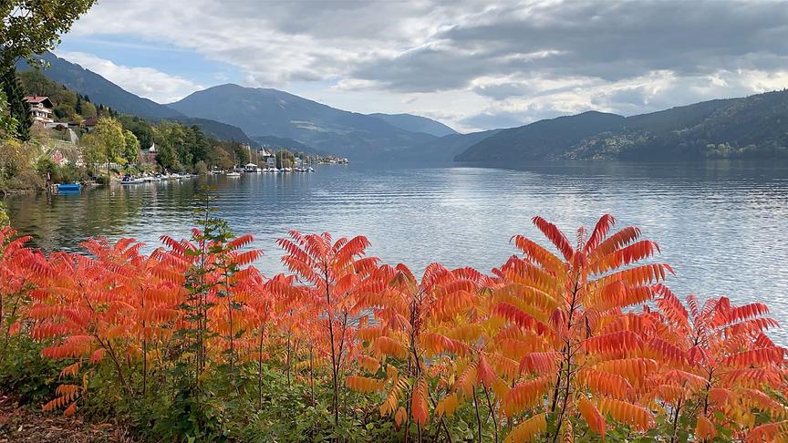 © Siegfried Oberbucher Schön langsam kommen die Herbstfarben!Blick über dem Millstättersee Richtung Mirnock. (Siegfried Oberbucher)