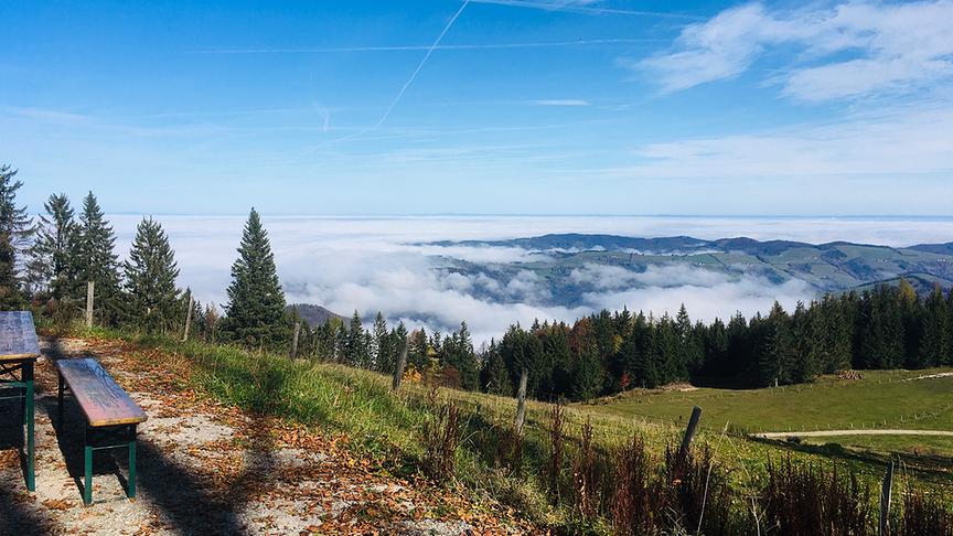 © Sandra Zehetner Blick von der Anton Schosser Hütte Richtung Ennstal. (Sandra Zehetner)
