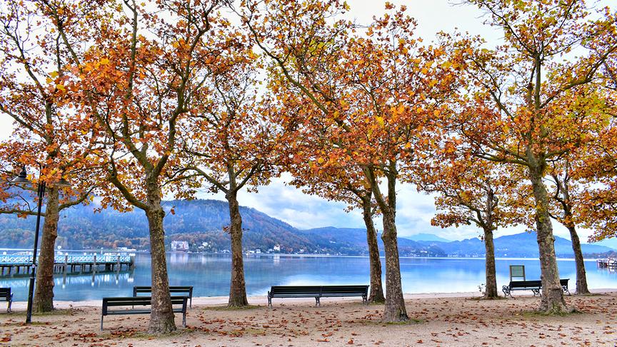 © Thomas Kaiser Morgendlicher Spaziergang durch das in Herbst gekleidete Strandbad. (Thomas Kaiser)
