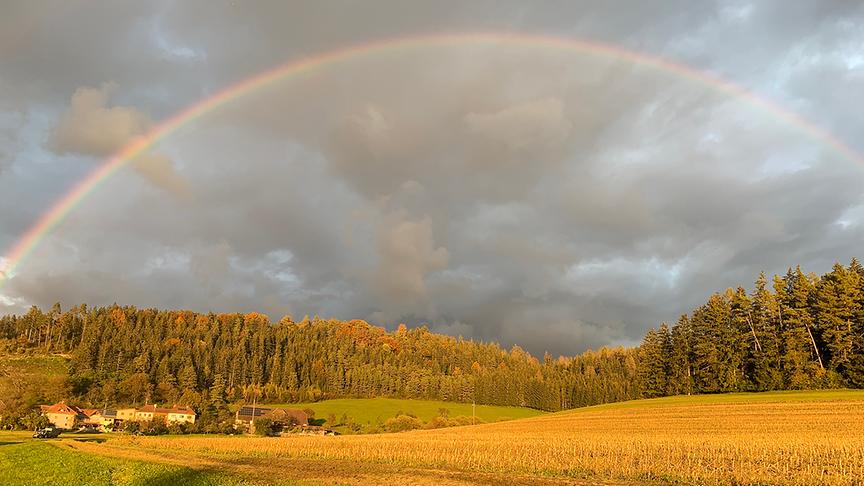© Obmann Martina Regenbogen über Zeindorf entdeckt vom kleinen Andreas. (Obmann Martina)