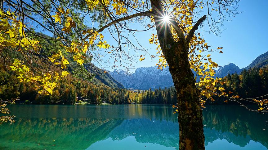 © Annelie Möser Herbstliches Leuchten am Weissenfelser See. (Annelie Möser)