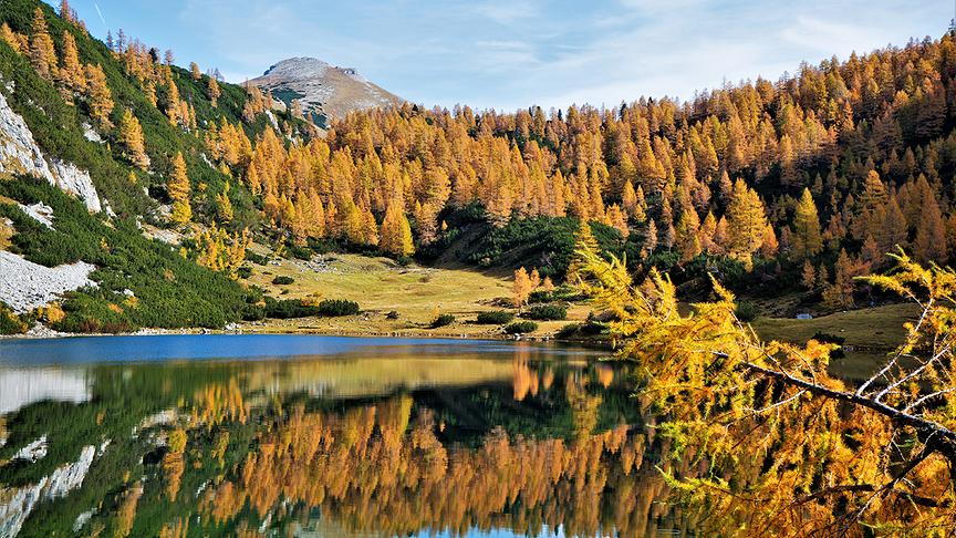 © Hermann Kohlfürst Herbststimmung vom Feinsten. (Hermann Kohlfürst)