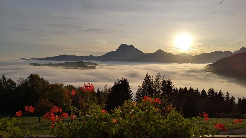 © Leopold Hüttner Traunstein am Morgen. (Leopold Hüttner)