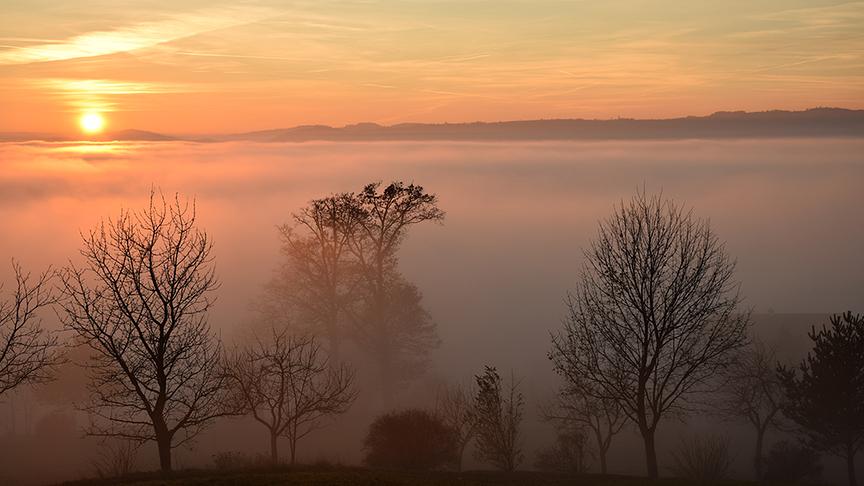 © Carina Meisl Feldkirchen versunken im Nebel. (Carina Meisl)
