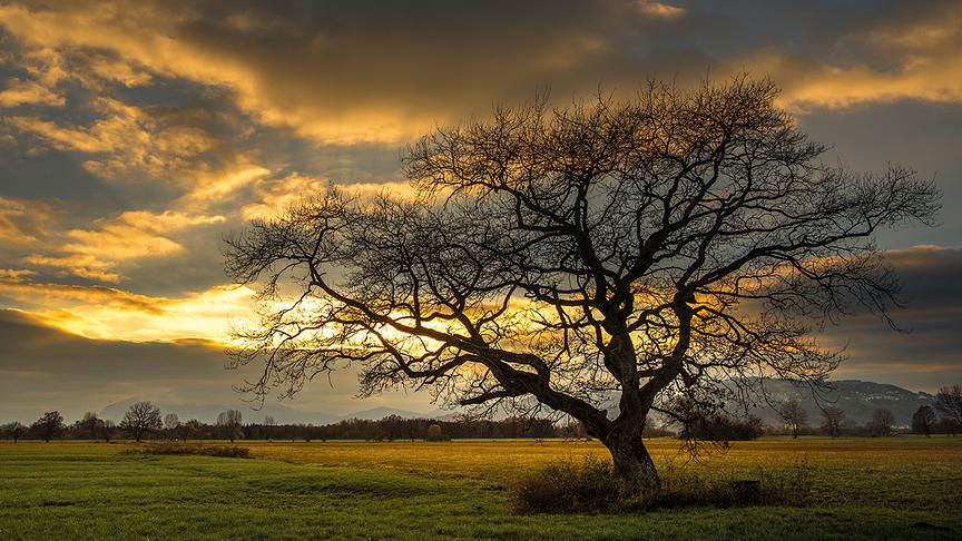 © Manfred Gasser Wolkenstimmung im Lustenauer Ried. (Manfred Gasser)
