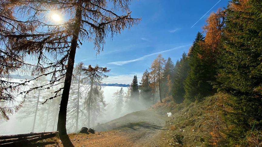 © Irk Petra Leppner Alm, über den Wolken im oberen Drautal, Gemeinde Irschen. (Irk Petra)